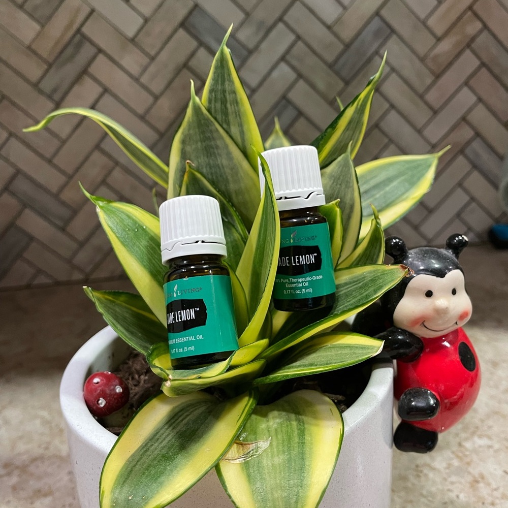 Young Living Jade Lemon Essential Oil